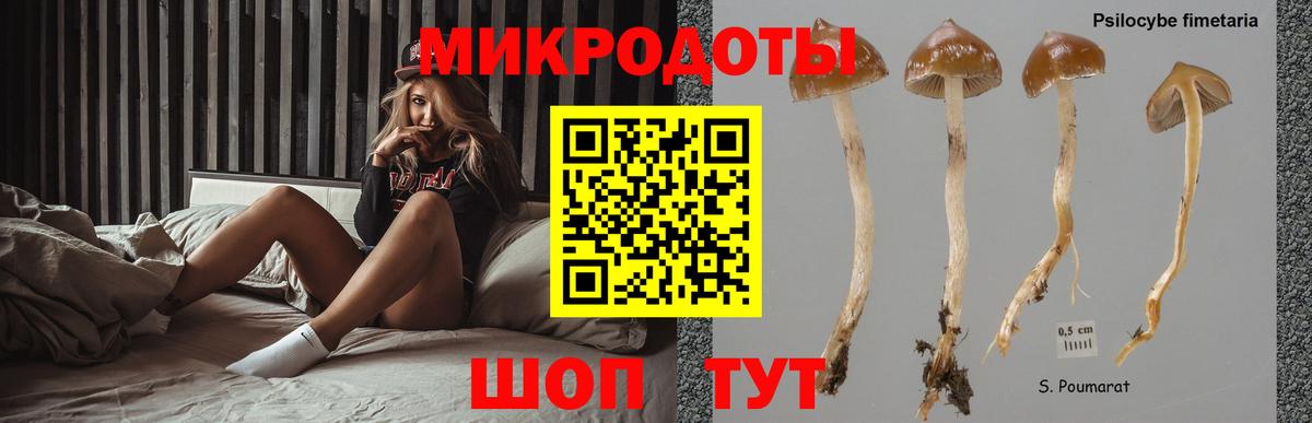 Псилоцибиновые грибы MAGIC MUSHROOMS Асино
